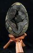 Septarian Dragon Egg Geode - Crystal Filled #37365-2